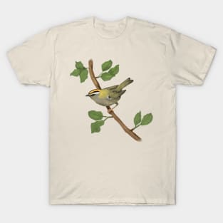 Common firecrest digital drawing T-Shirt